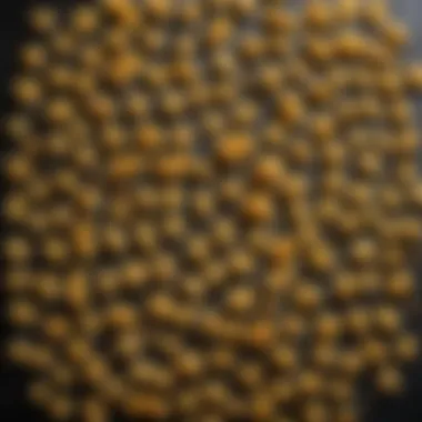 Diverse Pasta Varieties A collection of different pasta types produced from the attachment
