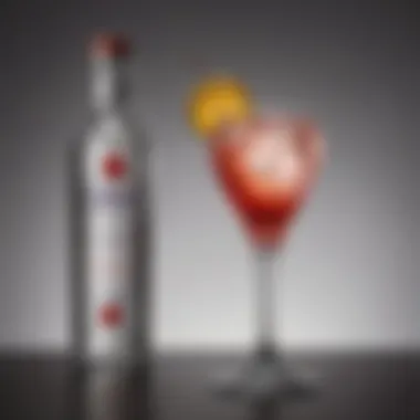 Close-up of a unique Ciroc cocktail with artistic presentation