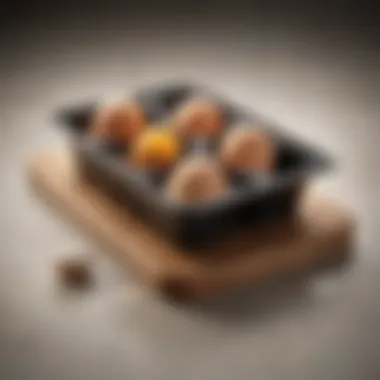Sleek Design of the Rectangular Egg Pan Elegant rectangular egg pan showcasing its sleek design