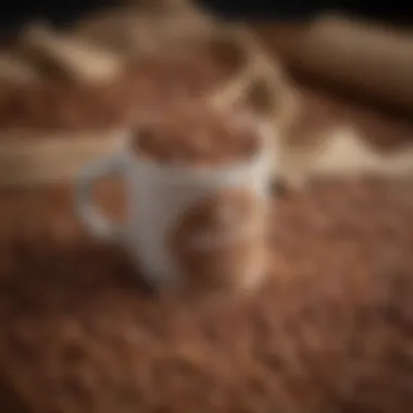 Artisanal Hazelnut Coffee Blends A variety of hazelnut coffee blends displayed in artisanal packaging.