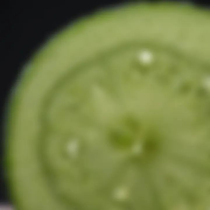 Close-up of sliced Sweet Success hybrid cucumber showcasing its texture