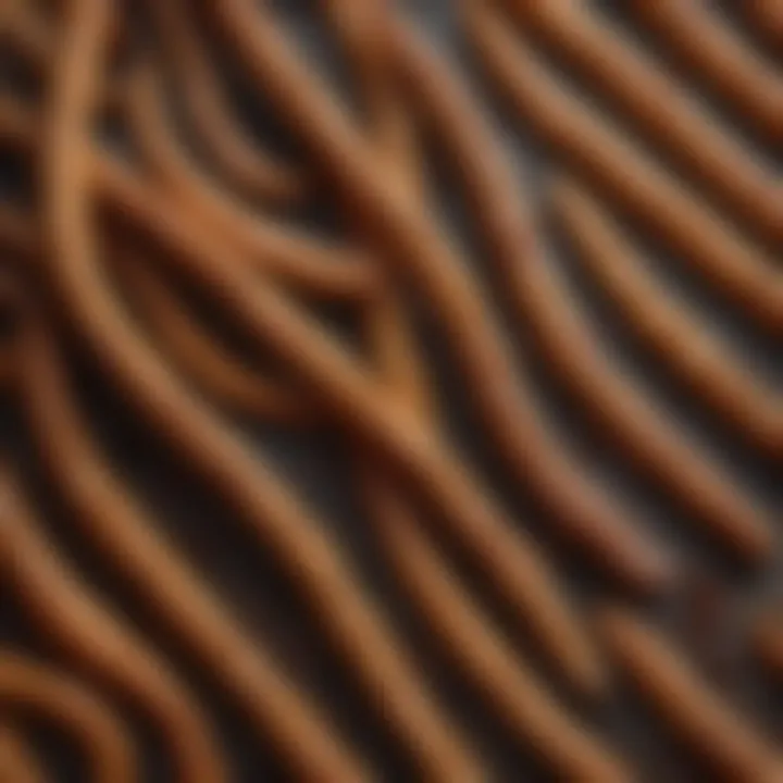 Close-up of the texture and flavor of Dots pretzel sticks