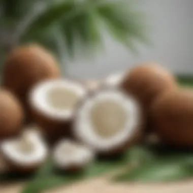 Natural Coconut Oil with Fresh Coconuts A jar of natural coconut oil surrounded by fresh coconuts and leaves