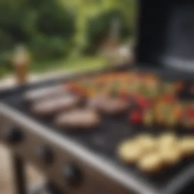 Exploring the Weber Grill E335: A Culinary Companion Summary Exploring the Weber Grill E335: A Culinary Companion Summary