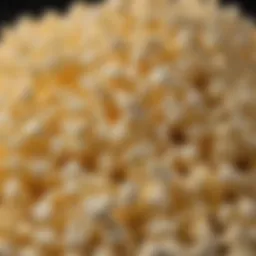 A close-up of perfectly popped theater style popcorn drizzled with melted butter.