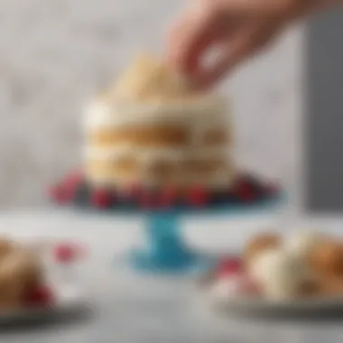 Artisan Ingredients for the Perfect Ice Cream Cake Artisan ingredients used in creating the perfect vanilla ice cream cake