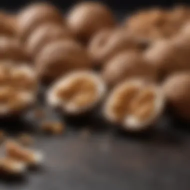 Impact of Walnuts on Ketosis Impact of walnuts on ketosis