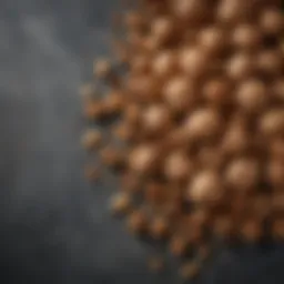 Nutritional benefits of walnuts in a keto diet