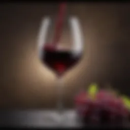 A glass of red wine showcasing its deep color and clarity.