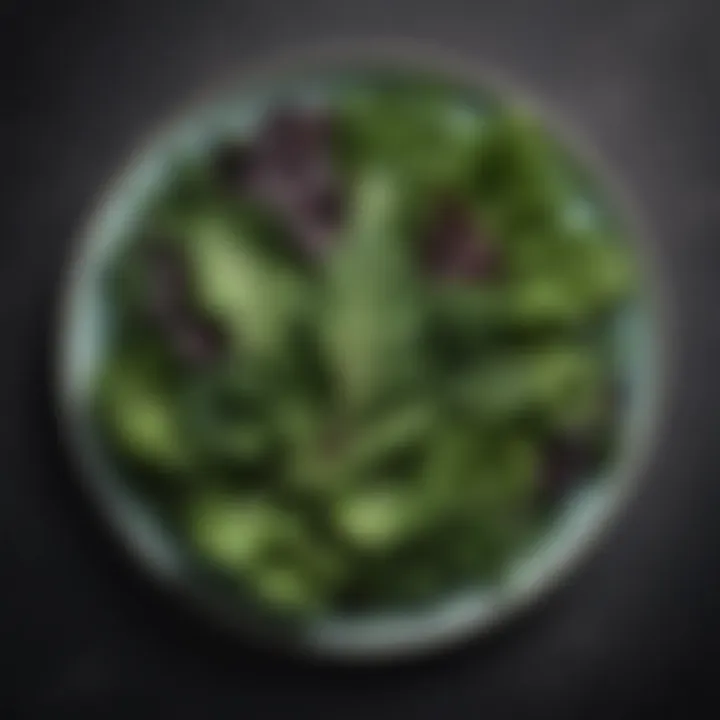 Leafy greens on a plate