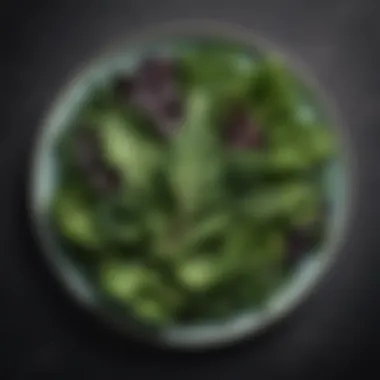 Nutrient-Rich Leafy Greens Leafy greens on a plate