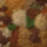 An artistic display of various gourmet popcorn toppings including herbs and spices