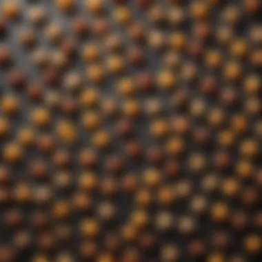 Protein Power Snacks A selection of protein-rich snacks that support sustained energy.