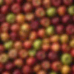 A variety of heirloom apples showcasing vibrant colors and unique shapes.