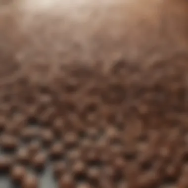 Diverse Coffee Beans for Iced Coffee A selection of various coffee beans showcasing their unique colors and textures