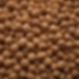 Close-up of Grape Nuts cereal showcasing its unique texture