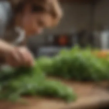 Harvesting Fresh Herbs Herbs being harvested for flavor enhancement