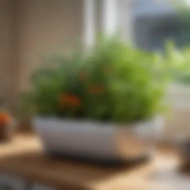 Vibrant Kitchen Herb Garden Vibrant herbs thriving in a stylish kitchen planter