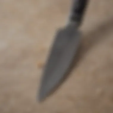 High-Quality Blade Materials of Chef Knives Close-up of knife blade showcasing quality materials used