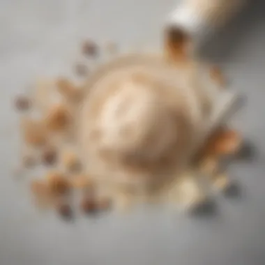 Ingredients spread out for making oat milk ice cream