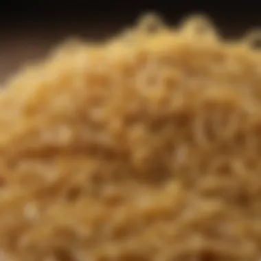 Distinctive Barley Shape of Manischewitz Noodles Noodles showcasing their unique barley shape