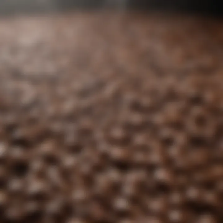 A close-up of brewed coffee illustrating flavor profiles