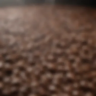 Exploring Coffee Flavor Profiles A close-up of brewed coffee illustrating flavor profiles