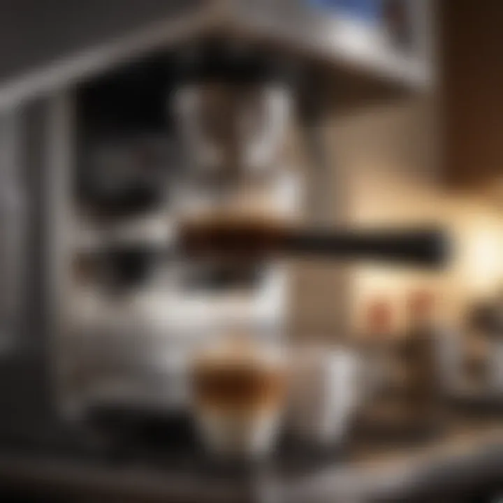 A well-maintained coffee maker demonstrating longevity
