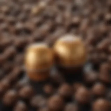 Exploring Coffee Capsule Diversity Variety of Nespresso coffee capsules