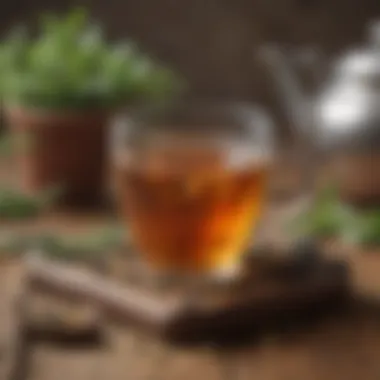 A refreshing herbal tea promoting overall wellness