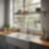Stylish over-the-sink drying rack showcasing modern kitchen aesthetics