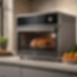 Sleek design of the Oster countertop oven