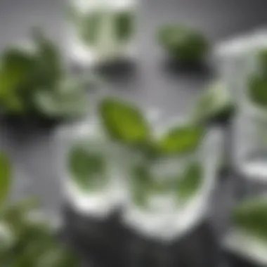 Basil Ice Cubes for Storage Basil ice cubes ready for storage