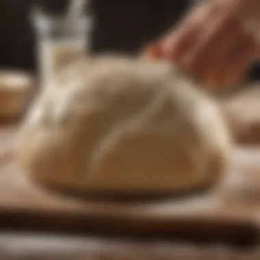 A well-kneaded dough showcasing its texture