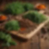 A vibrant array of fresh herbs and spices arranged artfully on a wooden table