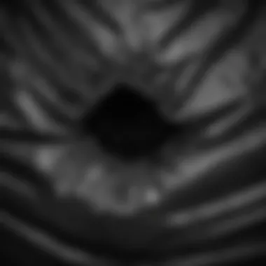Detailed Texture of a Smell Proof Garbage Bag Close-up of a high-quality smell proof garbage bag showcasing its texture
