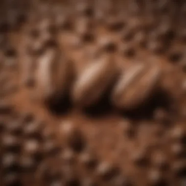 A close-up of freshly ground coffee beans