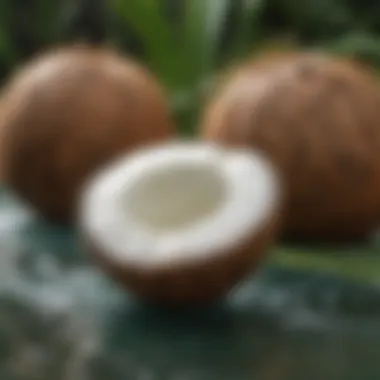 Refreshing coconut water as a natural electrolyte source