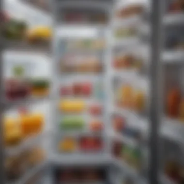 Understanding Fridge Organization Proper fridge organization layout
