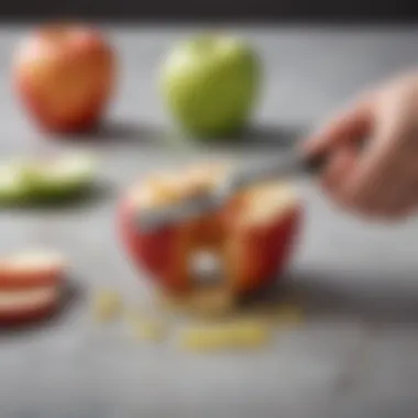 Care Instructions for Sur La Table Apple Corer Instructional guide on proper care for Sur La Table apple corer