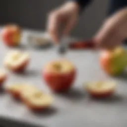 Elegant Sur La Table apple corer showcasing its sleek design