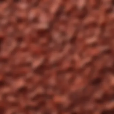 Close-up of the unique textures found in air dried meat