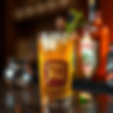The Art of Crafting a Highball: A Ginger Ale Perspective Summary