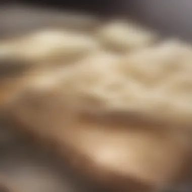Close-up of creamy ricotta cheese on a wooden board