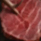 Close-up of red stag meat showcasing its rich texture
