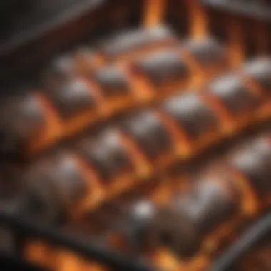 Close-up of electric fire starter design