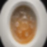 Close-up of dish soap bubbles in a toilet bowl