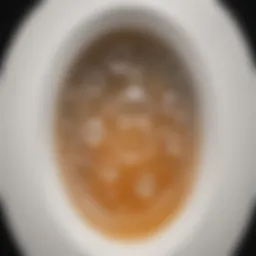 Close-up of dish soap bubbles in a toilet bowl