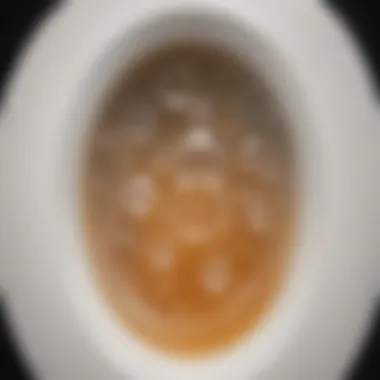 Dish Soap Bubbles in Toilet Close-up of dish soap bubbles in a toilet bowl
