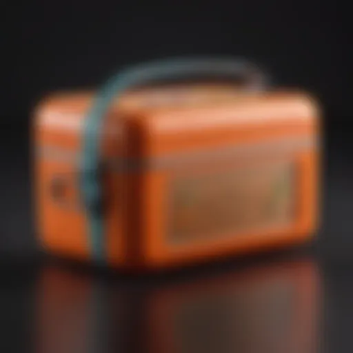 Elegant insulated lunch box showcasing vibrant colors and sleek design.
